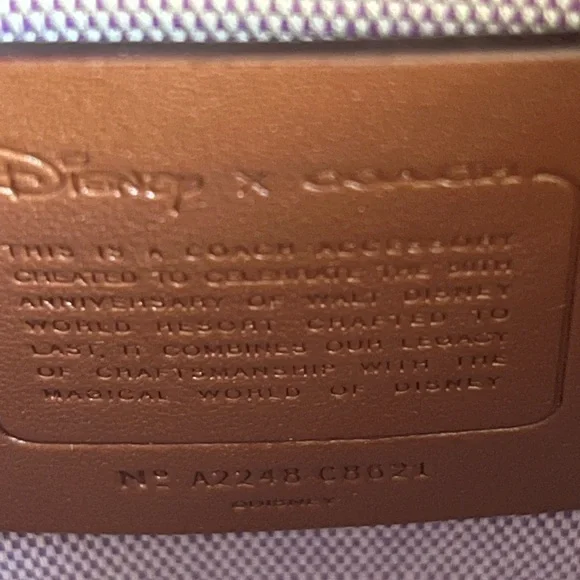 💰SOLD - C8621 - Coach X Disney Swinger 20 with Walt Disney World Motif - Picture 7 of 13